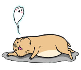 Cute Urocitellus richardsonii sticker #8278972