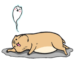 Cute Urocitellus richardsonii sticker #8278972