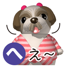 Funny Shih-Tzu 3
