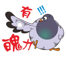 Fat pigeons pass messages sticker #8285362