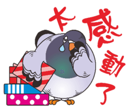 Fat pigeons pass messages sticker #8285373