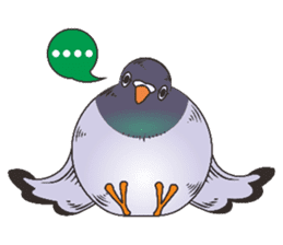 Fat pigeons pass messages sticker #8285395