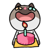 A timid cat, Oddi sticker #8285420