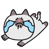 A timid cat, Oddi sticker #8285434