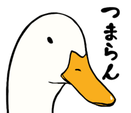 Mr. duck sticker part3 sticker #8285798
