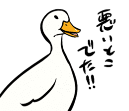 Mr. duck sticker part3 sticker #8285810