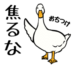 Mr. duck sticker part3 sticker #8285835