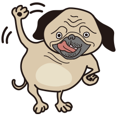 Funny PUG