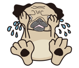 Funny PUG sticker #8288046