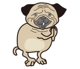 Funny PUG sticker #8288047