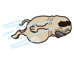 Funny PUG sticker #8288054