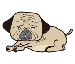 Funny PUG sticker #8288056