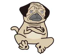 Funny PUG sticker #8288061