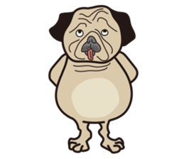 Funny PUG sticker #8288064