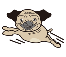 Funny PUG sticker #8288066