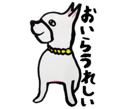 What, anyway, bird and animal sticker sticker #8288766