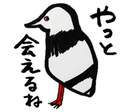 What, anyway, bird and animal sticker sticker #8288776