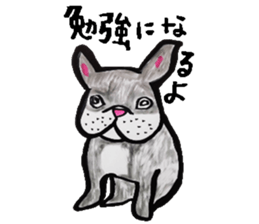 What, anyway, bird and animal sticker sticker #8288784