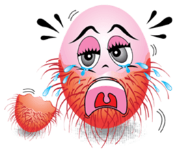 Rambutan fruit heroes sticker #8293780
