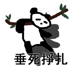 big brother panda 3 sticker #8294052