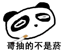 big brother panda 3 sticker #8294067