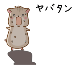 Gal Hamster sticker #8294983