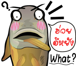 Cartoon Isan thailand v.Fried Tuna sticker #8295363