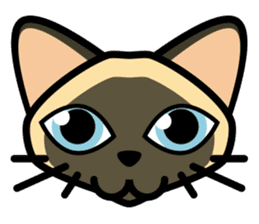 Momo the Siamese Cat sticker #8297156
