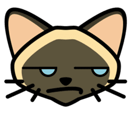 Momo the Siamese Cat sticker #8297163