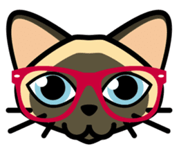 Momo the Siamese Cat sticker #8297177