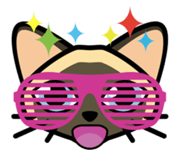 Momo the Siamese Cat sticker #8297178