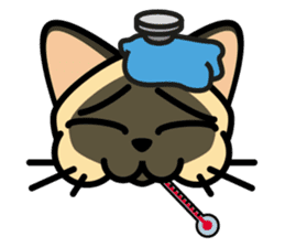 Momo the Siamese Cat sticker #8297190