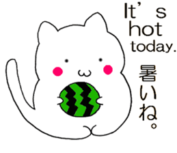 Simple cat Sticker English and Japanese sticker #8297209