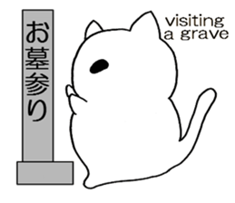 Simple cat Sticker English and Japanese sticker #8297212