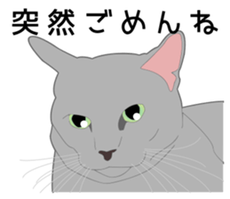 Greetings of realistic system cat sticker #8297556