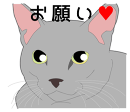 Greetings of realistic system cat sticker #8297557