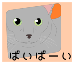 Greetings of realistic system cat sticker #8297558