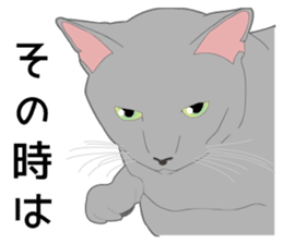 Greetings of realistic system cat sticker #8297559