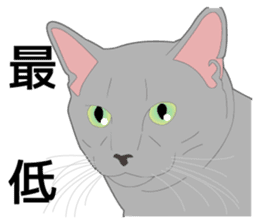 Greetings of realistic system cat sticker #8297562