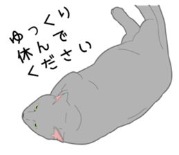 Greetings of realistic system cat sticker #8297563