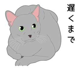 Greetings of realistic system cat sticker #8297564