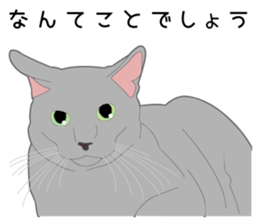 Greetings of realistic system cat sticker #8297566