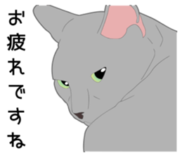 Greetings of realistic system cat sticker #8297568