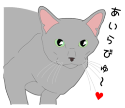 Greetings of realistic system cat sticker #8297569