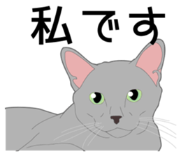 Greetings of realistic system cat sticker #8297572