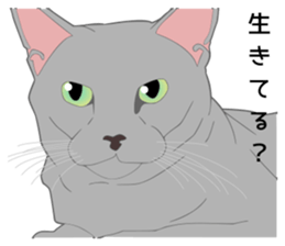 Greetings of realistic system cat sticker #8297574