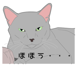 Greetings of realistic system cat sticker #8297579