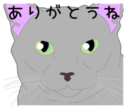 Greetings of realistic system cat sticker #8297580