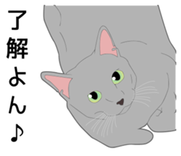 Greetings of realistic system cat sticker #8297581