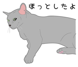 Greetings of realistic system cat sticker #8297582